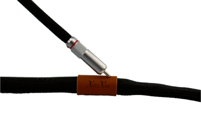 Closeup XerXes RCA interconnect
