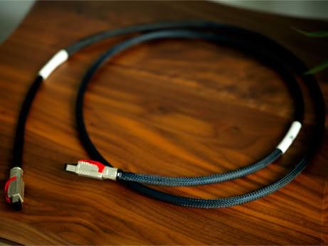 ION Ethernet cable